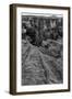Horseshoe Bend BW 1 of 3-Moises Levy-Framed Photographic Print