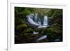 horseshoe-falls-1-Lincoln Harrison-Framed Photo