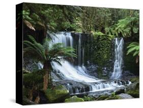Horseshoe Falls, Mount Field National Park, UNESCO World Heritage Site, Tasmania, Australia-Jochen Schlenker-Stretched Canvas