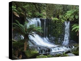 Horseshoe Falls, Mount Field National Park, UNESCO World Heritage Site, Tasmania, Australia-Jochen Schlenker-Stretched Canvas