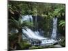 Horseshoe Falls, Mount Field National Park, UNESCO World Heritage Site, Tasmania, Australia-Jochen Schlenker-Mounted Photographic Print