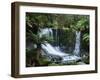 Horseshoe Falls, Mount Field National Park, UNESCO World Heritage Site, Tasmania, Australia-Jochen Schlenker-Framed Photographic Print