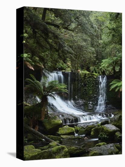 Horseshoe Falls, Mount Field National Park, UNESCO World Heritage Site, Tasmania, Australia-Jochen Schlenker-Stretched Canvas