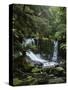 Horseshoe Falls, Mount Field National Park, UNESCO World Heritage Site, Tasmania, Australia-Jochen Schlenker-Stretched Canvas