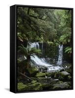 Horseshoe Falls, Mount Field National Park, UNESCO World Heritage Site, Tasmania, Australia-Jochen Schlenker-Framed Stretched Canvas