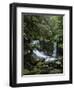 Horseshoe Falls, Mount Field National Park, UNESCO World Heritage Site, Tasmania, Australia-Jochen Schlenker-Framed Photographic Print