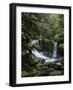 Horseshoe Falls, Mount Field National Park, UNESCO World Heritage Site, Tasmania, Australia-Jochen Schlenker-Framed Photographic Print