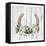 Horseshoe Floral 1-Kimberly Allen-Framed Stretched Canvas