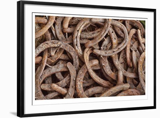 Horseshoes-Donald Paulson-Framed Giclee Print