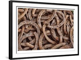 Horseshoes-Donald Paulson-Framed Giclee Print