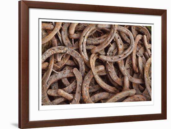 Horseshoes-Donald Paulson-Framed Giclee Print