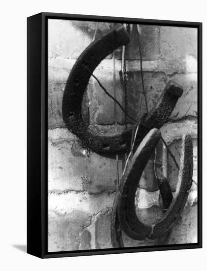 Horseshoes-null-Framed Stretched Canvas