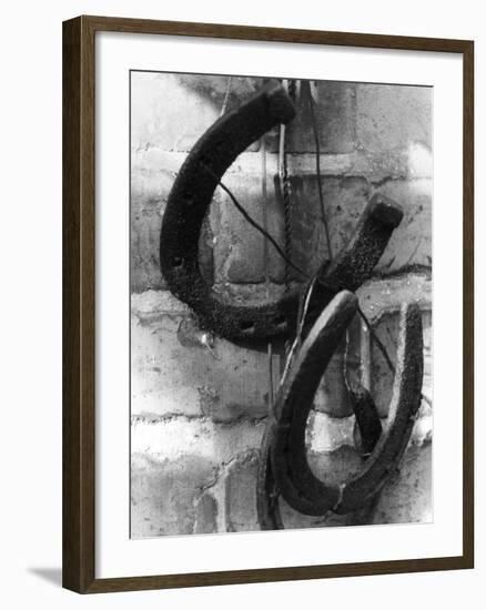 Horseshoes-null-Framed Photographic Print