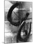 Horseshoes-null-Mounted Photographic Print