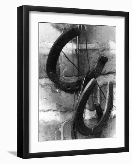 Horseshoes-null-Framed Photographic Print