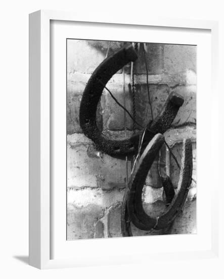 Horseshoes-null-Framed Photographic Print