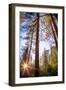 Horsetail Falls and Setting Sun From Within, Yosemite National Park-Vincent James-Framed Photographic Print