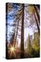 Horsetail Falls and Setting Sun From Within, Yosemite National Park-Vincent James-Stretched Canvas