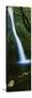 Horsetail Falls, Columbia River Gorge National Scenic Area, Oregon, USA-null-Stretched Canvas