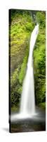 Horsetail Falls-Douglas Taylor-Stretched Canvas