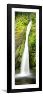 Horsetail Falls-Douglas Taylor-Framed Premium Giclee Print