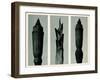 Horsetail Rush, 1929 (Photogravure)-Karl Blossfeldt-Framed Giclee Print