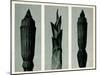 Horsetail Rush, 1929 (Photogravure)-Karl Blossfeldt-Mounted Giclee Print