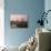 Horsey Wind Pump and Boats Moored on the Norfolk Broads at Dawn, Norfolk, England, United Kingdom-Miller John-Photographic Print displayed on a wall