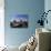 Horsey Windmill, Norfolk Broads, Norfolk, England, United Kingdom-Charcrit Boonsom-Photographic Print displayed on a wall