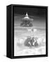 Horsing Around Vertical-Thomas Barbey-Framed Stretched Canvas