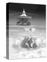 Horsing Around Vertical-Thomas Barbey-Stretched Canvas