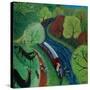 Horsing around-Lisa Graa Jensen-Stretched Canvas