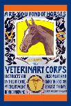 Join the Veterinary Corps-Horst Schreck-Stretched Canvas