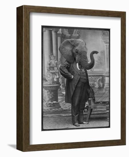 Hortence J Pacadorf-Grand Ole Bestiary-Framed Art Print