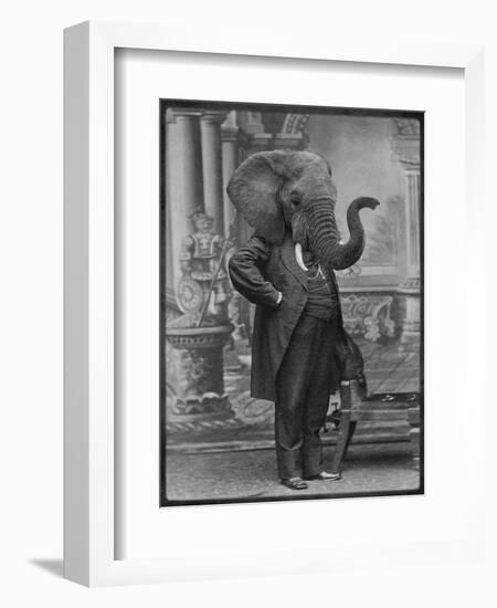 Hortence J Pacadorf-Grand Ole Bestiary-Framed Art Print