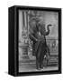 Hortence J Pacadorf-Grand Ole Bestiary-Framed Stretched Canvas