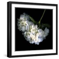 Hortenses Heart-Magda Indigo-Framed Photographic Print