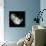 Hortenses Heart-Magda Indigo-Photographic Print displayed on a wall