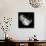 Hortenses Heart-Magda Indigo-Photographic Print displayed on a wall