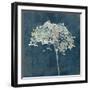 Hortensia Silhouette Sapphire-Cora Niele-Framed Photographic Print