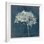 Hortensia Silhouette Sapphire-Cora Niele-Framed Photographic Print