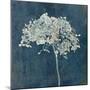 Hortensia Silhouette Sapphire-Cora Niele-Mounted Photographic Print