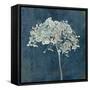 Hortensia Silhouette Sapphire-Cora Niele-Framed Stretched Canvas