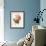 Hortensia-Pierre-Joseph Redouté-Framed Giclee Print displayed on a wall