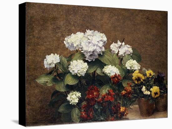 Hortensias and Stocks with Two Pots of Pansies, 1879-Henri Fantin-Latour-Stretched Canvas