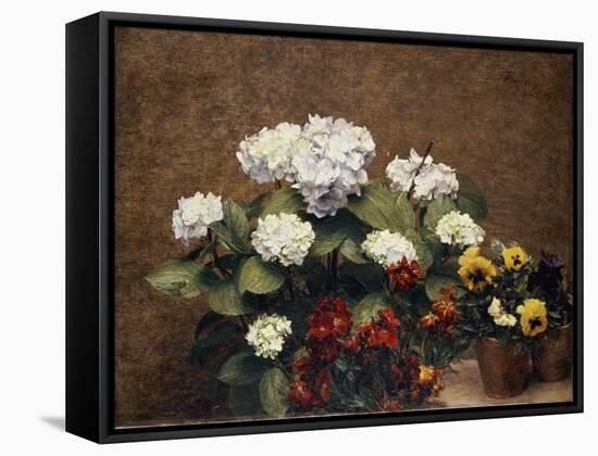 Hortensias and Stocks with Two Pots of Pansies, 1879-Henri Fantin-Latour-Framed Stretched Canvas