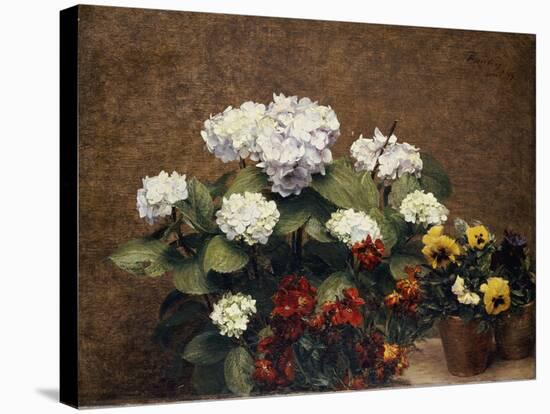 Hortensias and Stocks with Two Pots of Pansies, 1879-Henri Fantin-Latour-Stretched Canvas