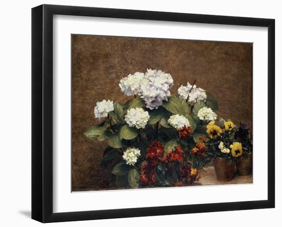 Hortensias and Stocks with Two Pots of Pansies, 1879-Henri Fantin-Latour-Framed Giclee Print