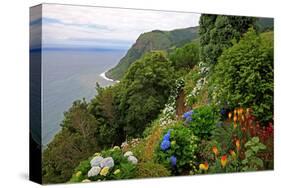 Hortensias and torch lilies on a steep slope near Nordeste, Sao Miguel Island, Azores, Portugal-null-Stretched Canvas