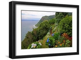 Hortensias and torch lilies on a steep slope near Nordeste, Sao Miguel Island, Azores, Portugal-null-Framed Art Print